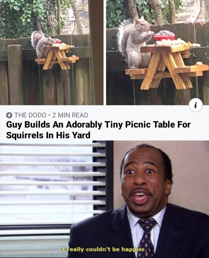 Squirrel picnic - meme