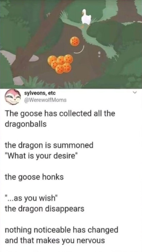 Goose Ball Z - meme