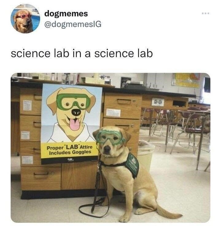 Lab squared - meme