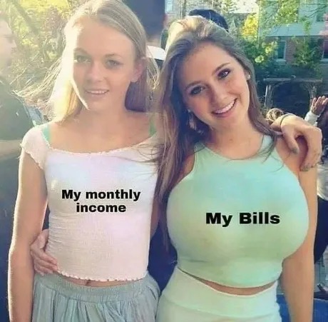 Monthly income vs bills - meme