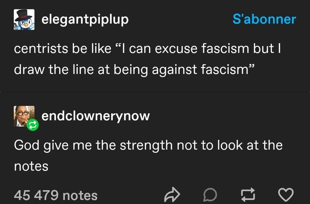 Centrist logic: 'I can excuse fascism, but not being against it.' Seems legit. - meme