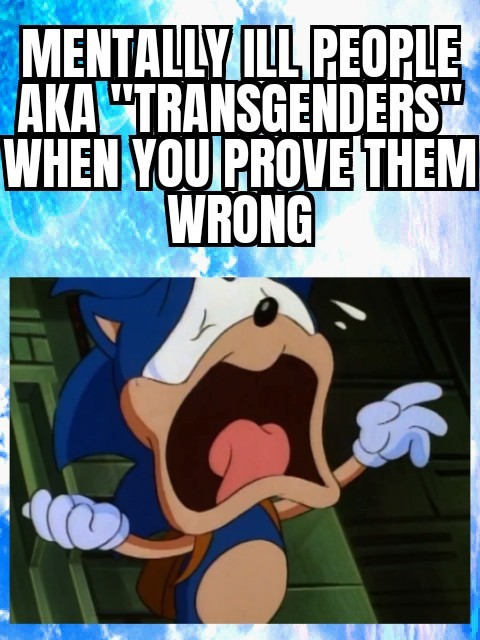 TRANSGENDER IS A MENTAL ILLNESS NO ONE CAN CHANGE GENDERS THERE'S ONLY 2 GENDERS PENIS=MALE VJ=FEMALE SEX IS THE SAME AS GENDER UNLESS YOU MEAN FUCKING AND NO ONE IS GENDER NEUTRAL - meme