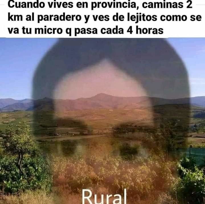 Problemas rurales - meme