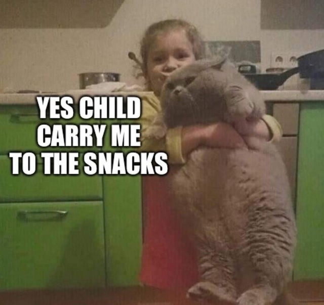 Yes child, carry me to the snacks - meme