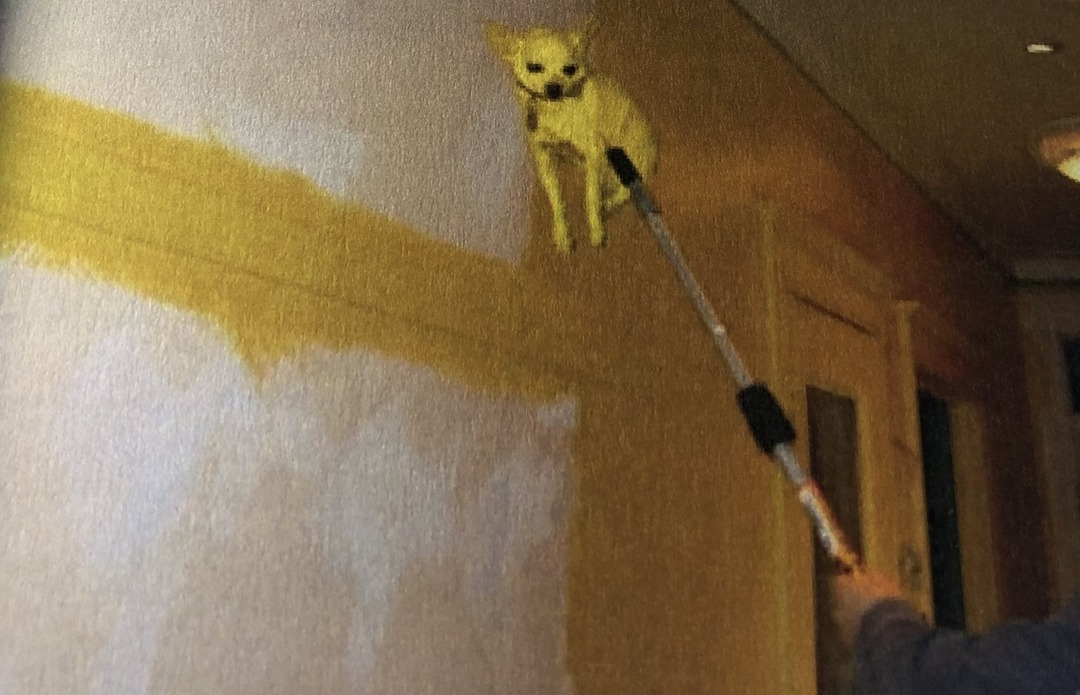 What da dog doin - Found in a house painters course textbook. - meme