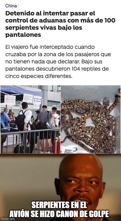 Serpientes en el avión se hizo canon - meme