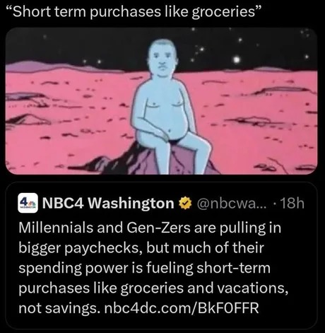 Short term purchases like groceries - meme