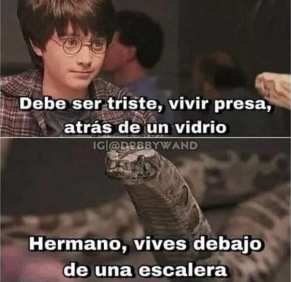 Serpiente de harry potter basada - meme
