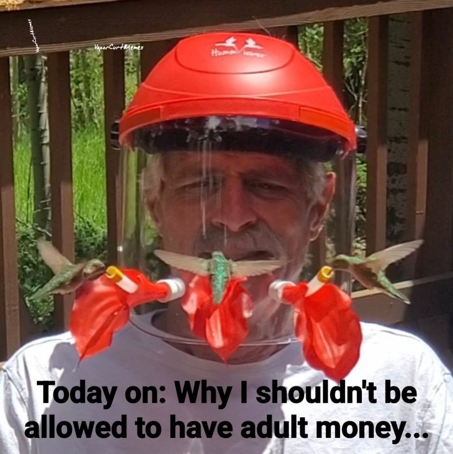 Adult money - meme