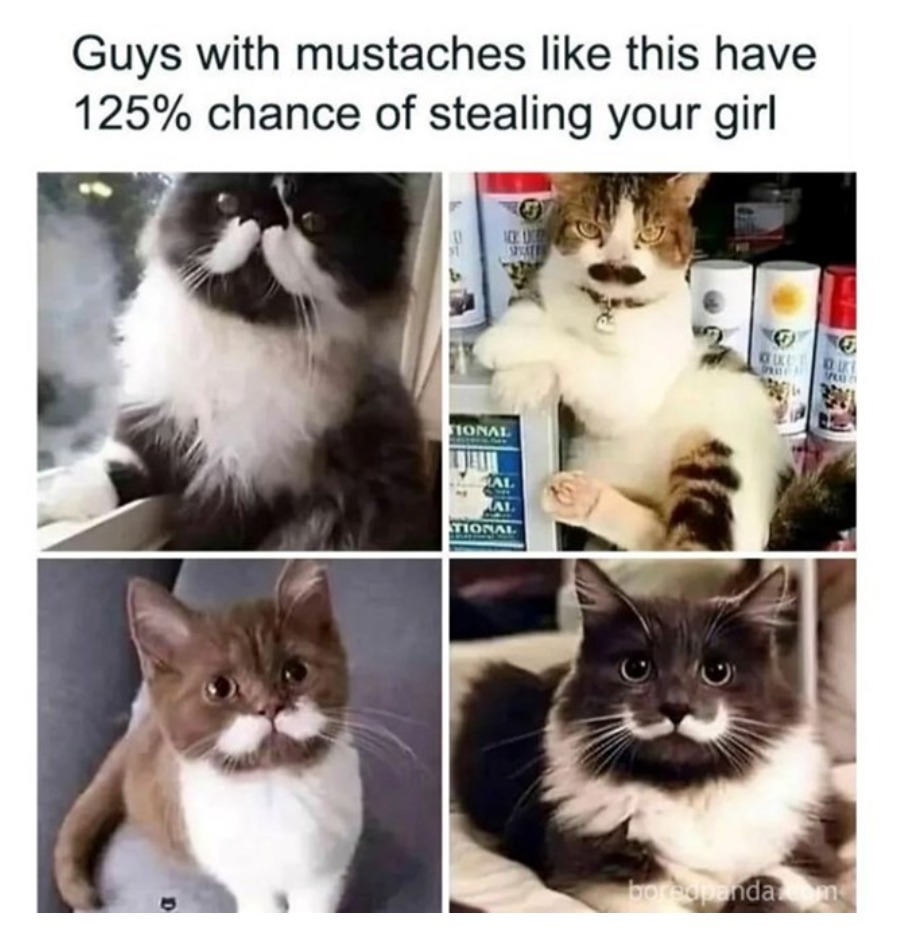 Free Mustache Rides - meme
