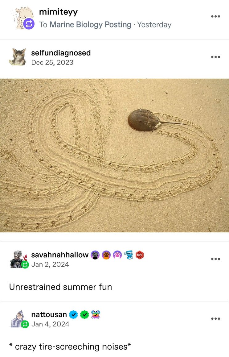 Marine biology posting just unlocked my summer feral energy - meme
