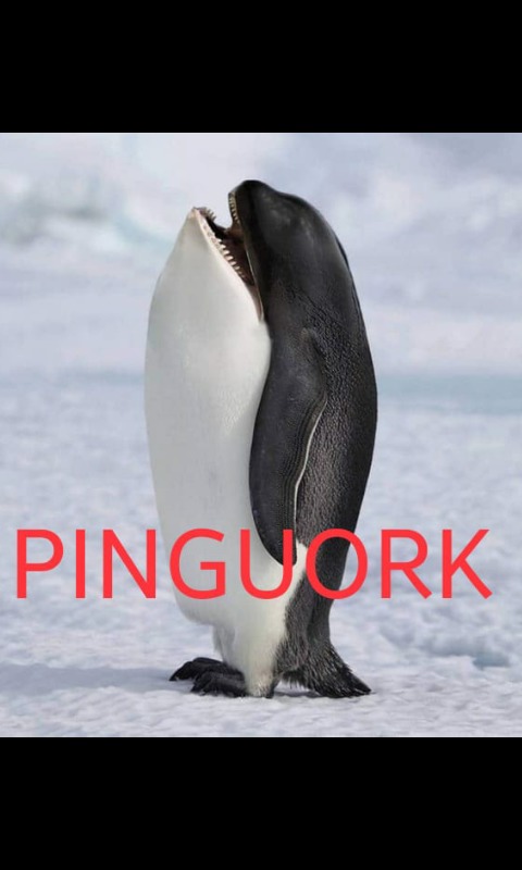 PINGUORK - meme