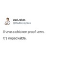 Chicken proof