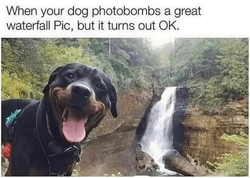 The waterfall photobombed it - meme