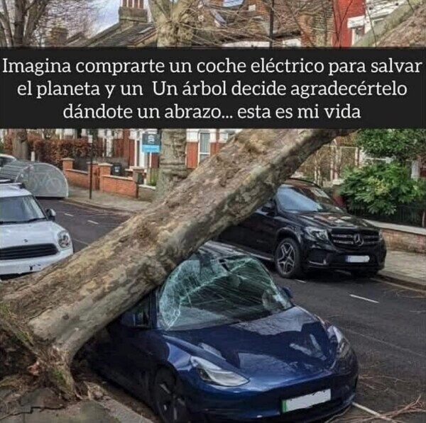 Arbol agradecido - meme