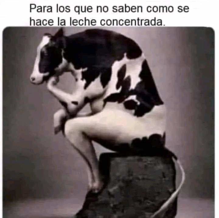 E - meme