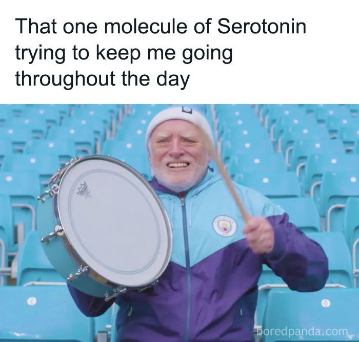You - meme