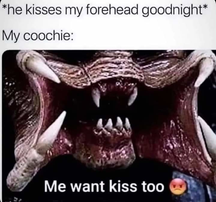 Kissy coochie - meme