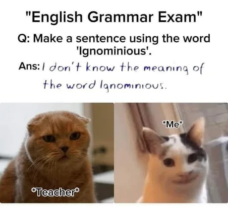 Grammar exam - meme