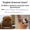 Grammar exam