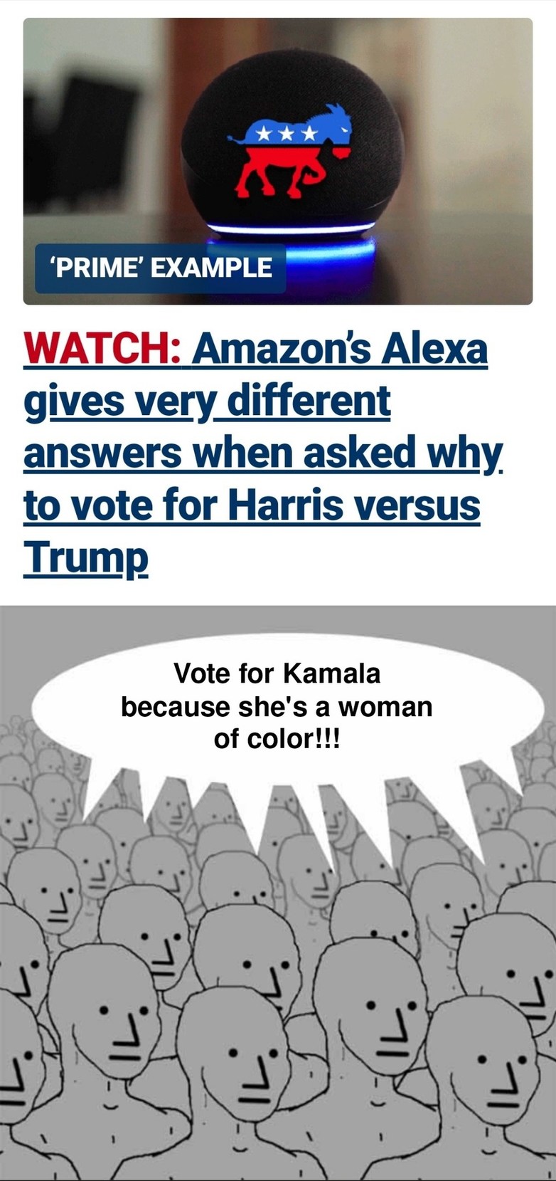 Harris' Only Politicsl Trait is the Color of Her Skin - meme