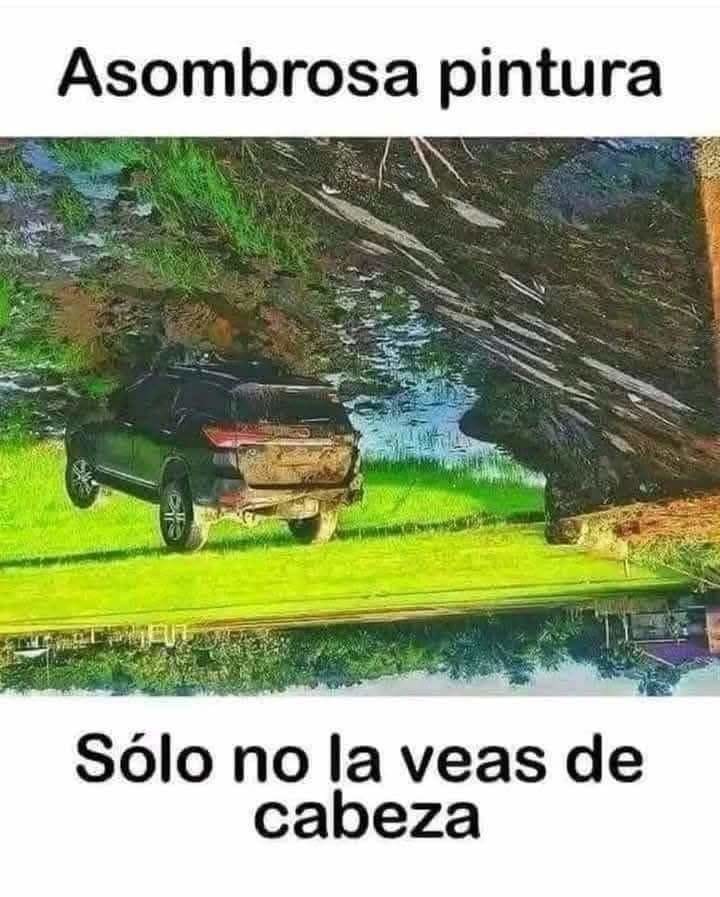 Ilusión carastrofica xD - meme