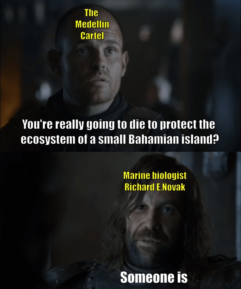 Marine biologist risking it all against the cartel for the reef - meme