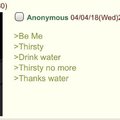 Anon is a homosapian