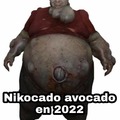 Nikocado avocado