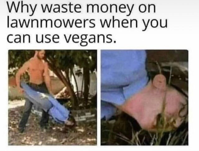 vegans - meme