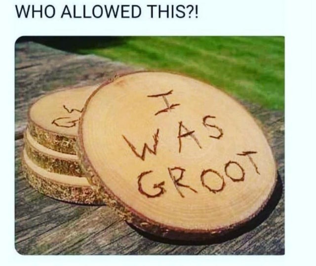 I was Groot - meme