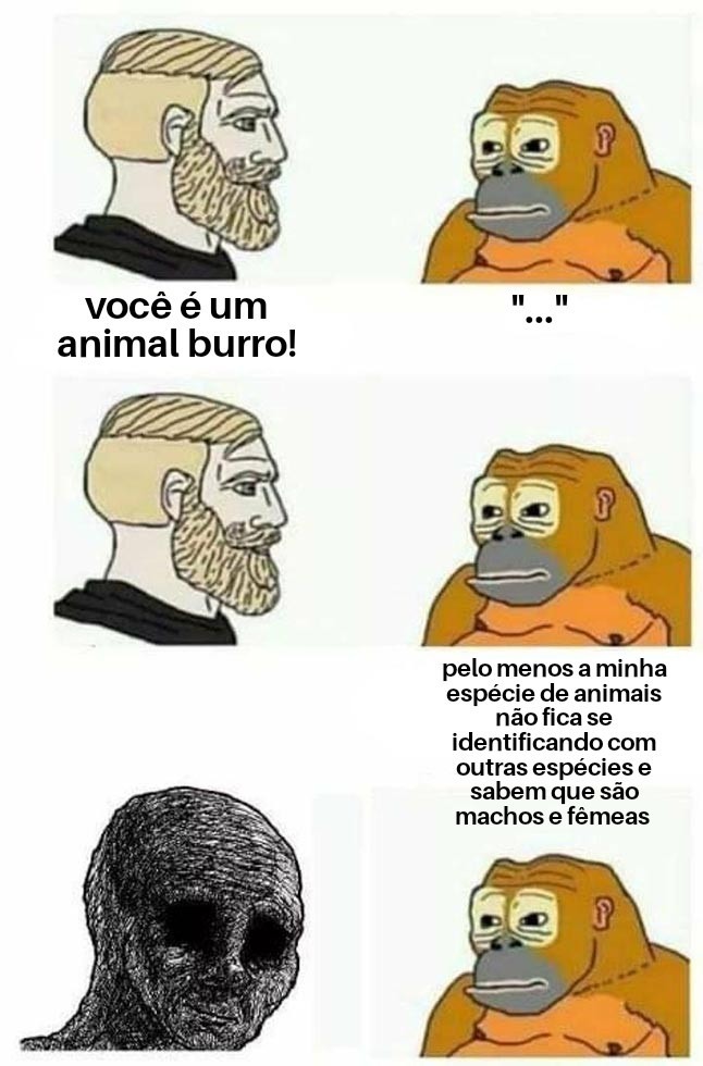 Errado o mamaco não está! - meme