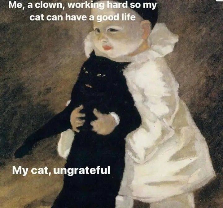 Working 9 to 5 so my cat can ignore me in comfort - meme