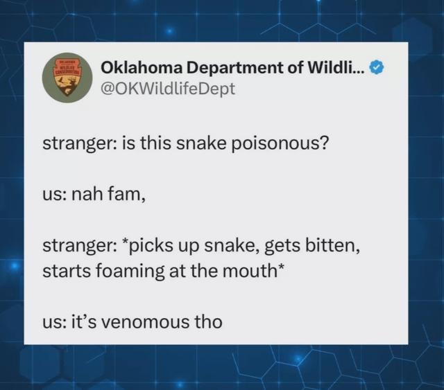 Snake ain't poisonous. It's just venomous, fam. - meme
