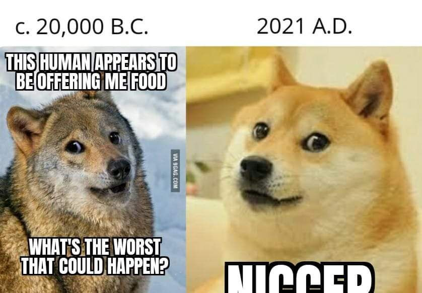 Based dog - meme