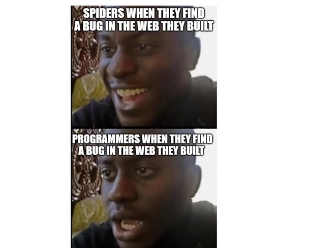 bugs and webs - meme