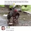 Broke ass chick