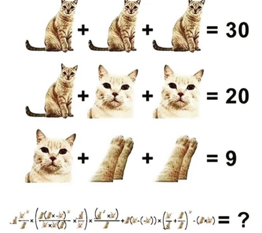Amo gatos, amo matemática - meme