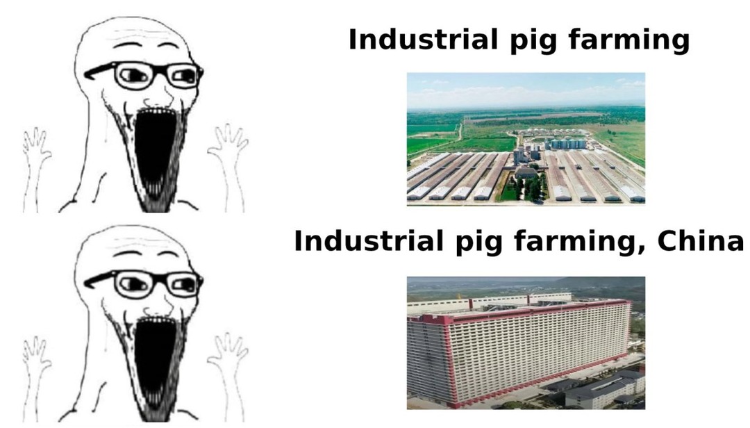 chinese playing minecraft irl - meme