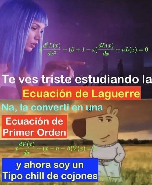 Ecuaciones de primer orden - meme