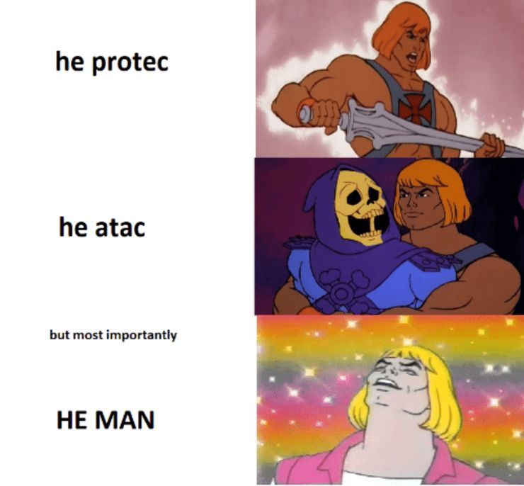 MASTERS OF THE UNIVERSE - meme