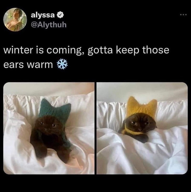keep warm guys - meme