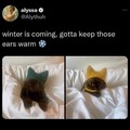 keep warm guys