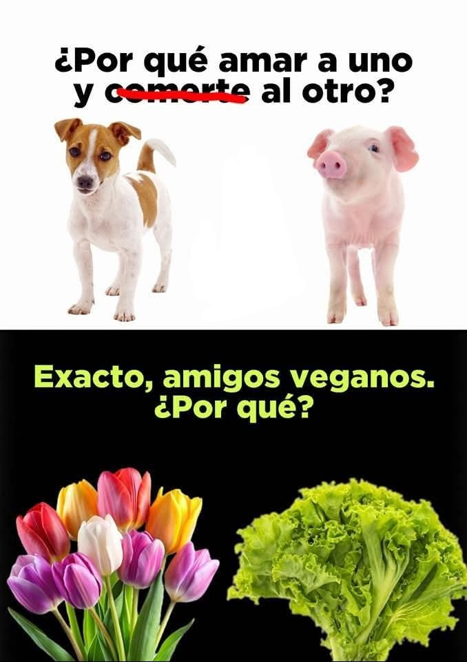 Veganozzz... - meme