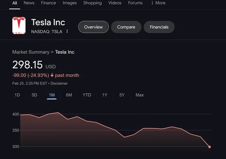Tesla stock is not stonking - meme