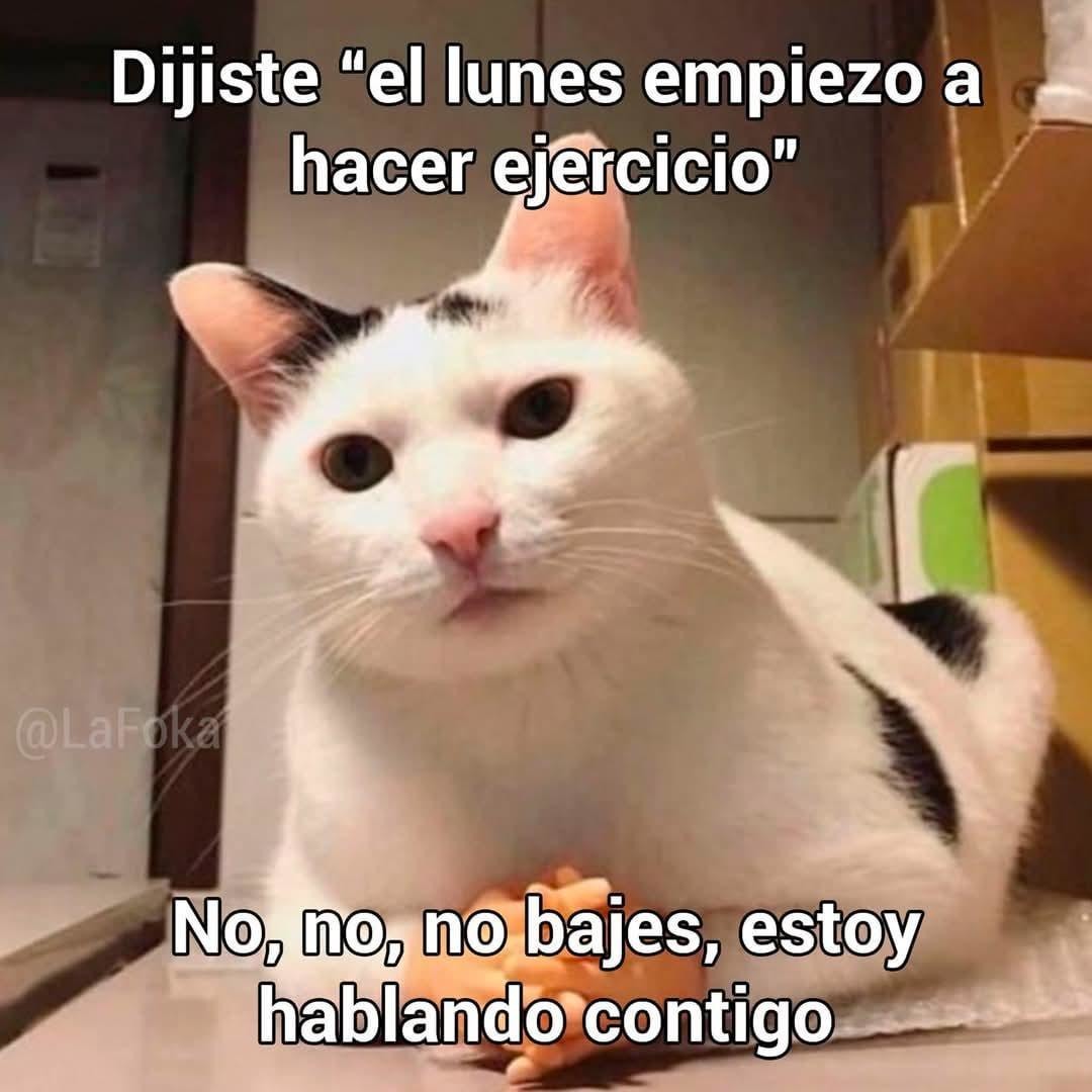 El lunes empiezo... pero este no era el lunes indicado - meme