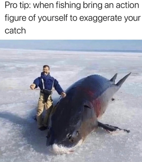 Fishy - meme
