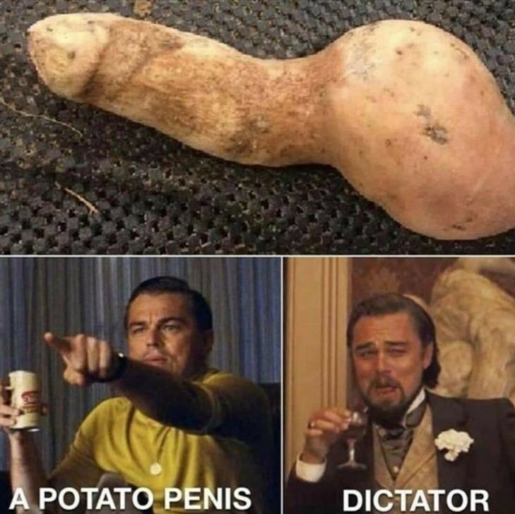 Dictator - meme