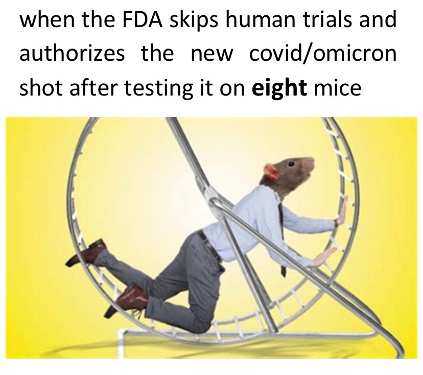 fun fact: pfizer and moderna worked together on this one! - meme