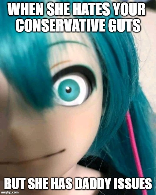 Conservative Daddy - meme